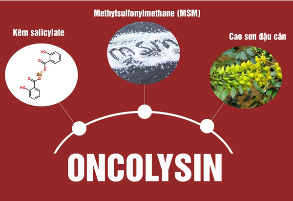 Thành phần chính Oncolysin giúp cải thiện ung thư gan